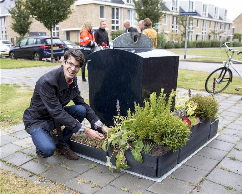 Haarlem start proef met containertuintjes