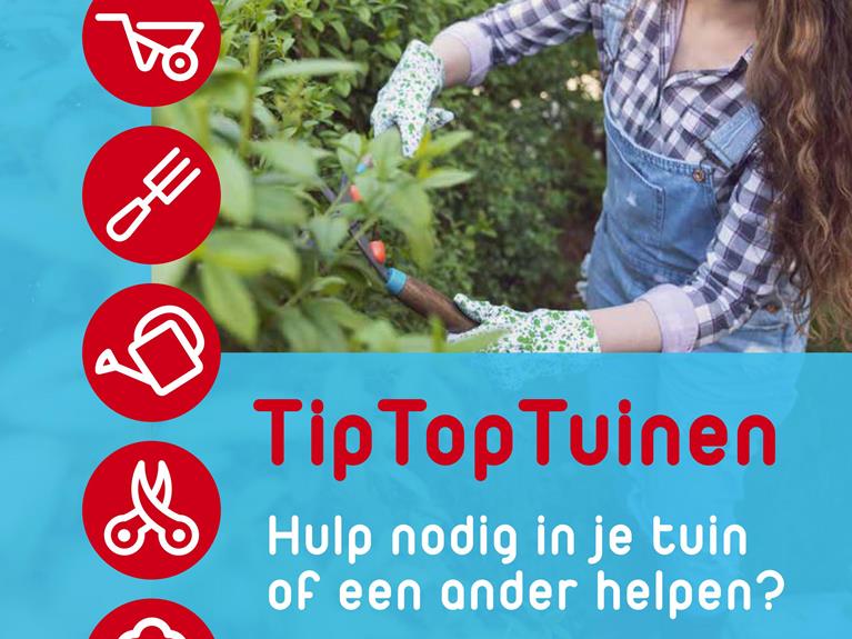 TipTopTuinen-campagne van BUUV fleurt heel Haarlem en omgeving op, Stadsnieuws