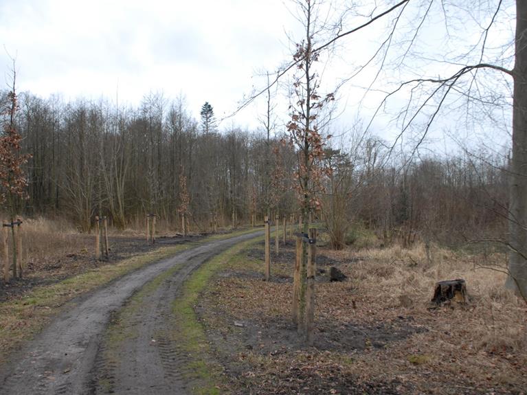 Excursies Huis te Manpad later van start